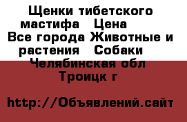 Щенки тибетского мастифа › Цена ­ 80 - Все города Животные и растения » Собаки   . Челябинская обл.,Троицк г.